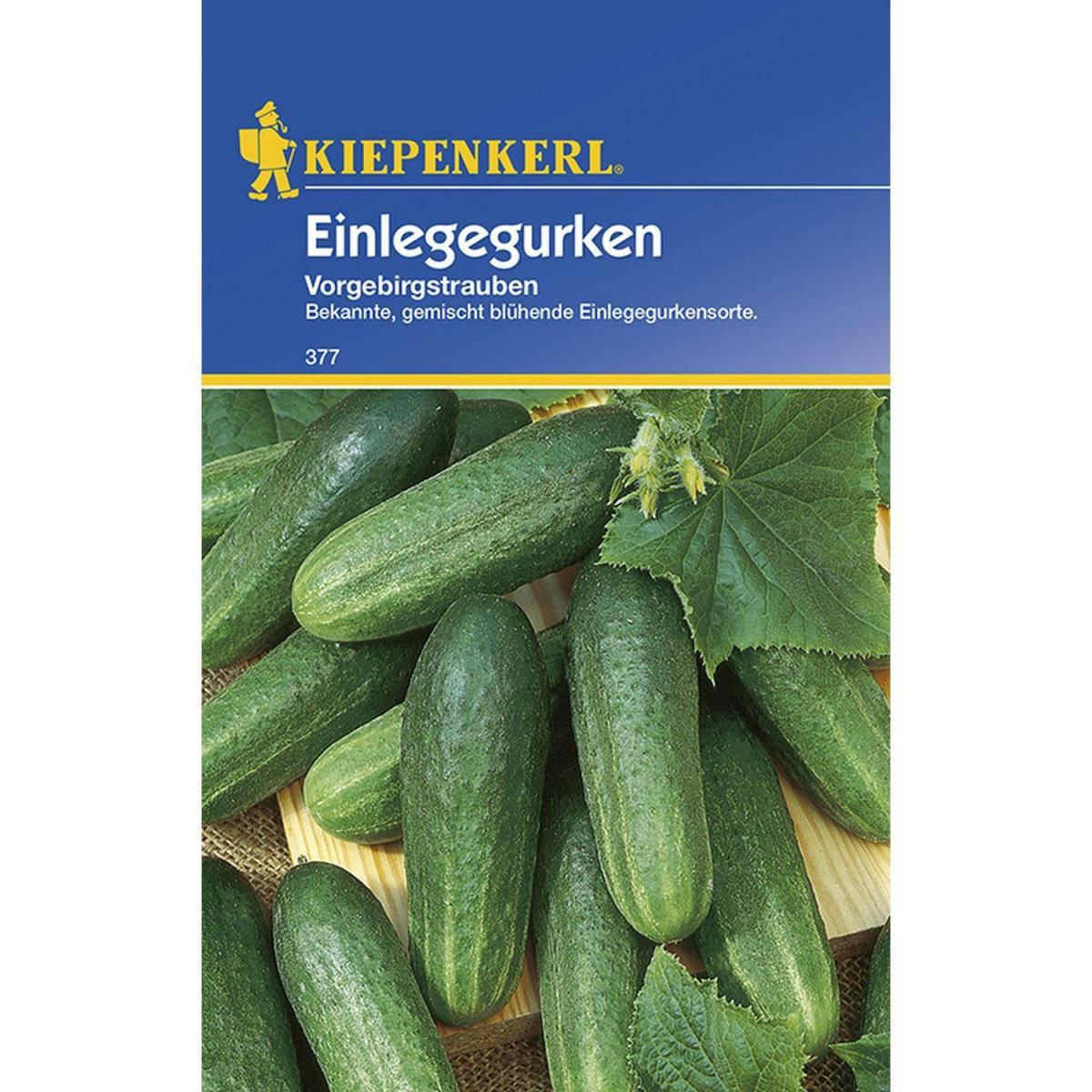 Kiepenkerl Einlegegurken Vorgebirgstrauben verschiedene Sorten Bild 1