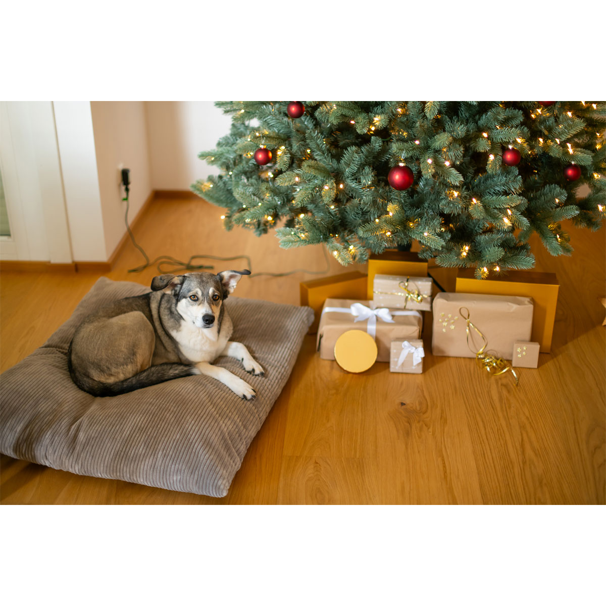 Evergreen Künstlicher Weihnachtsbaum Vermont Fichte inkl. LEDs 150x210cm Grün Bild 5