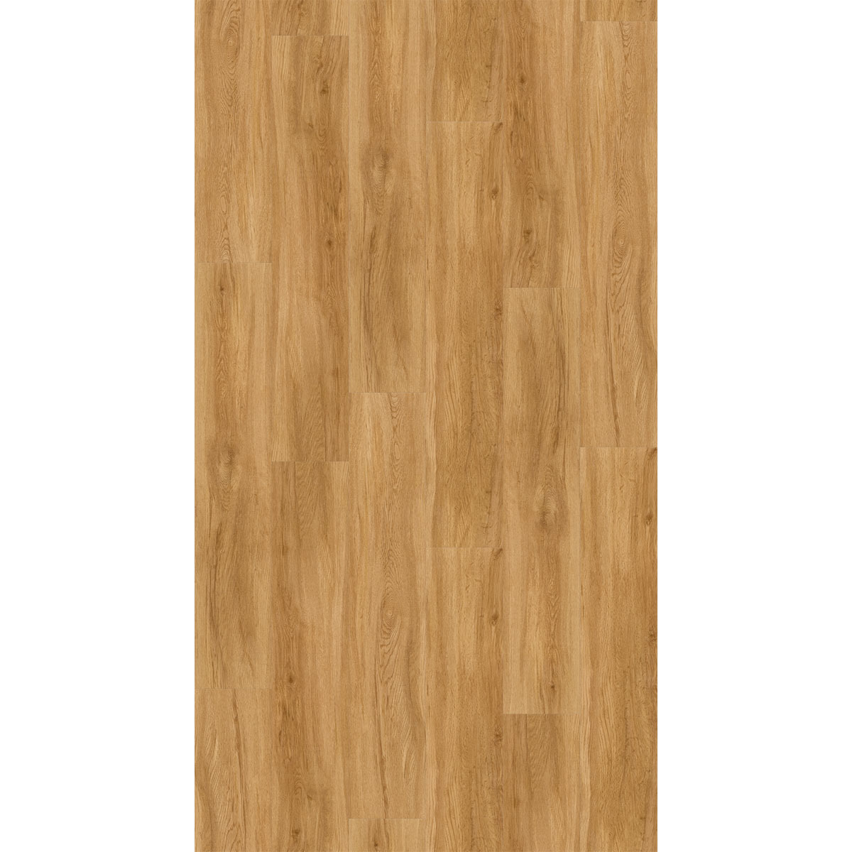 Parador Vinylboden Basic 30 Eiche Sierra Natur gebürstete Struktur 21,6 x 120,7 cm Bild 2