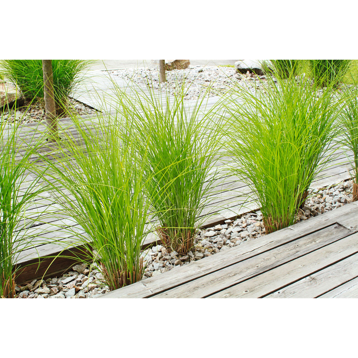 Rettenmeier Terrassendiele Kiefer grau 200 x 12 x 2,1 cm Bild 3