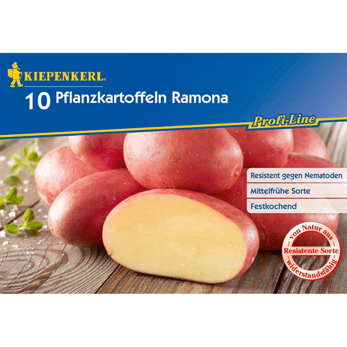Kiepenkerl Pflanzkartoffeln Romana 10 Stück Bild 1