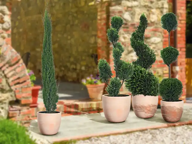 Toskana Garten Toskana Garten