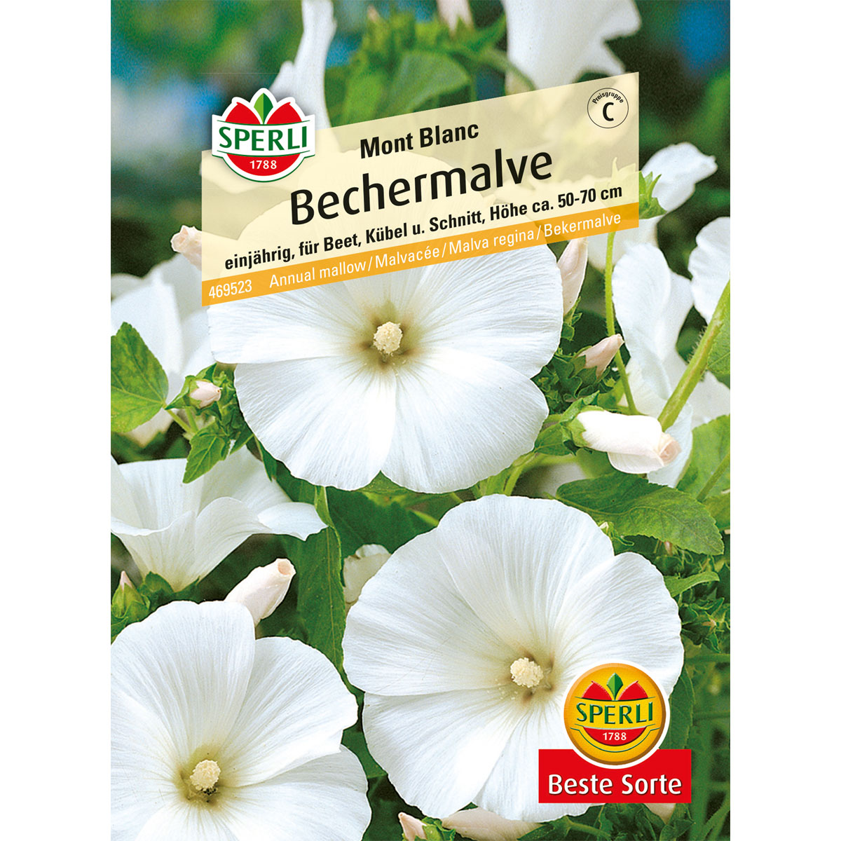 Sperli Bechermalve Mont Blanc Bild 1