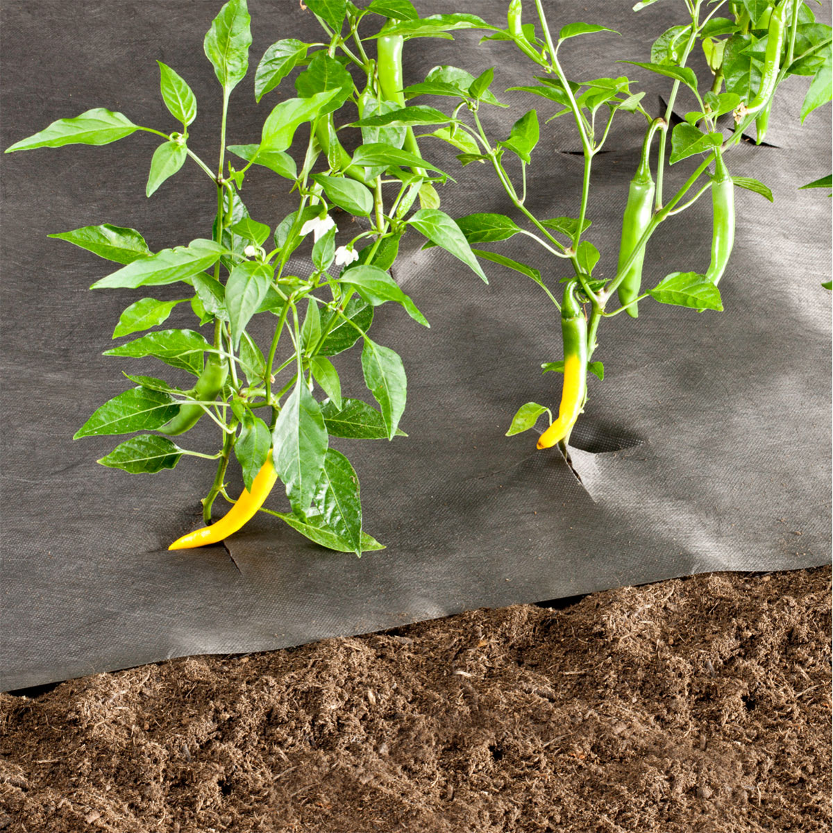 Windhager  Unkrautvlies 50 g/m² 5x1,6 m Bild 3