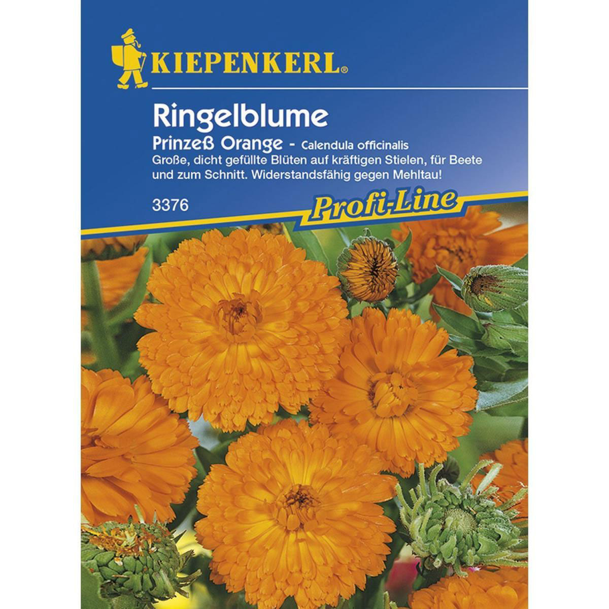 Kiepenkerl Ringelblume Prinzeß Orange Profi-Line Bild 1