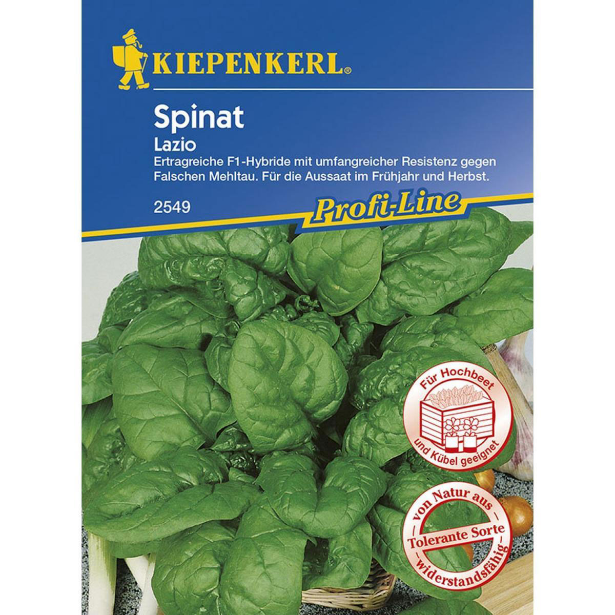 Kiepenkerl Spinat Lazio F1 Profi-Line Bild 1