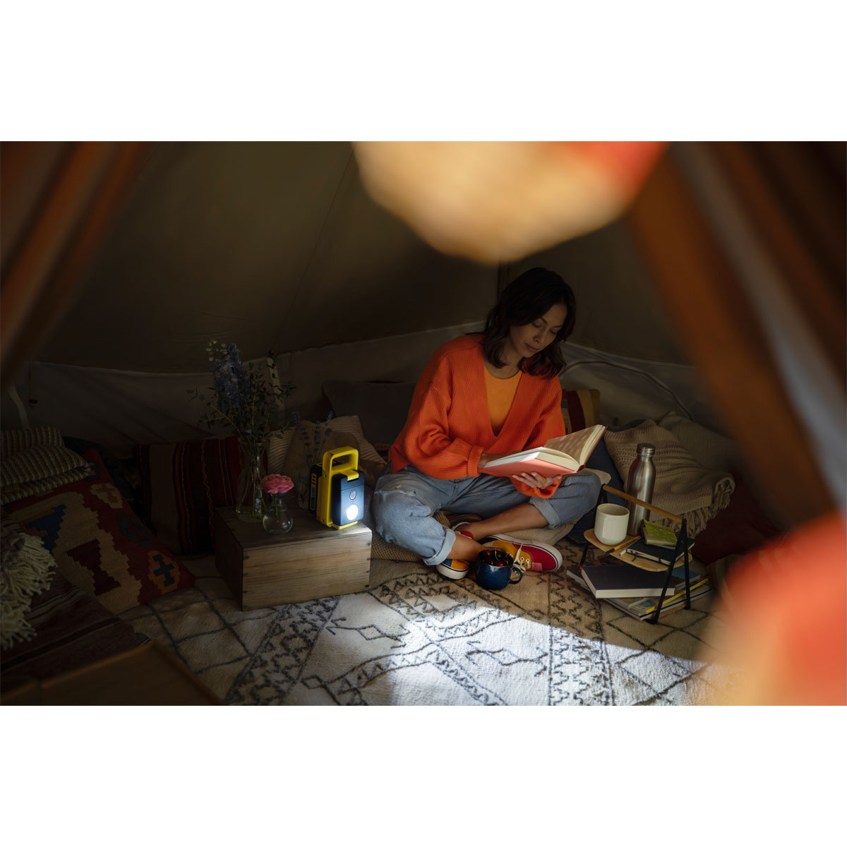 Kärcher  Akku-Multifunktionslampe MFL 2-18 Bild 2