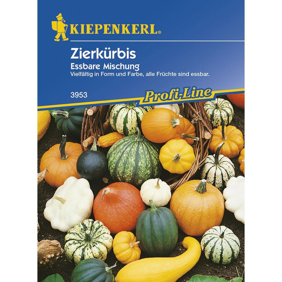 Kiepenkerl Zierkürbis Eßbare Mischung Profi-Line Bild 1