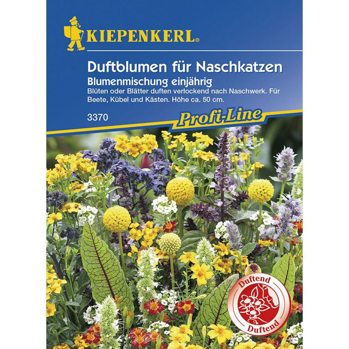 Kiepenkerl Duftblumen für Naschkatzen Mischung Bild 1