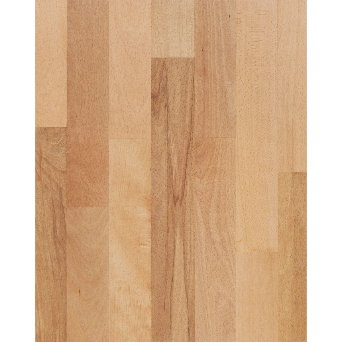 Parador Parkett „Basic 11-5“, Rustikal Buche, matt lackiert, 18,5x10 cm Bild 3