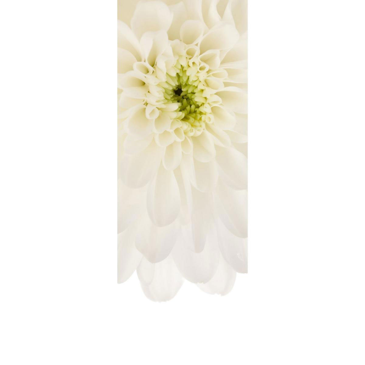 Komar Vlies-Fototapete Beautiful 1-teilig 100 x 280 cm Bild 1