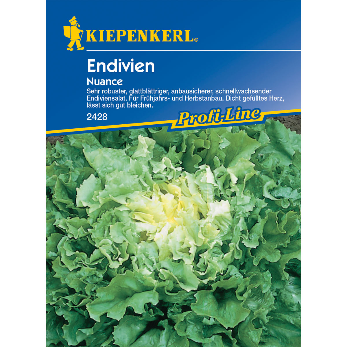 Kiepenkerl Endiviensalat Nuance Bild 1
