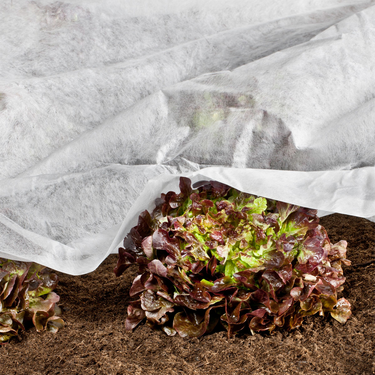 Windhager  Wachstumsvlies 18 g/m² 5x1,5 m