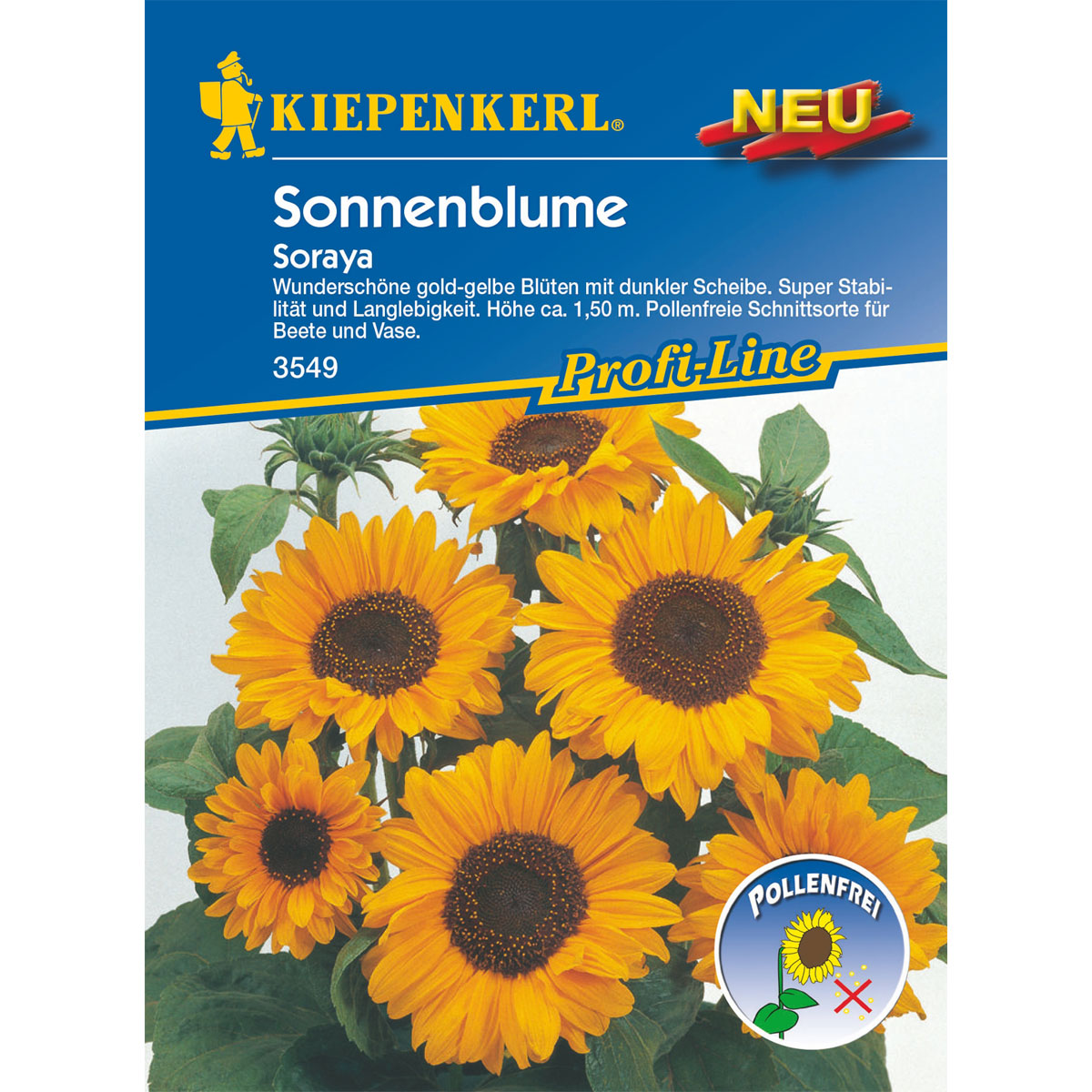 Kiepenkerl Sonnenblume Soraya Bild 1