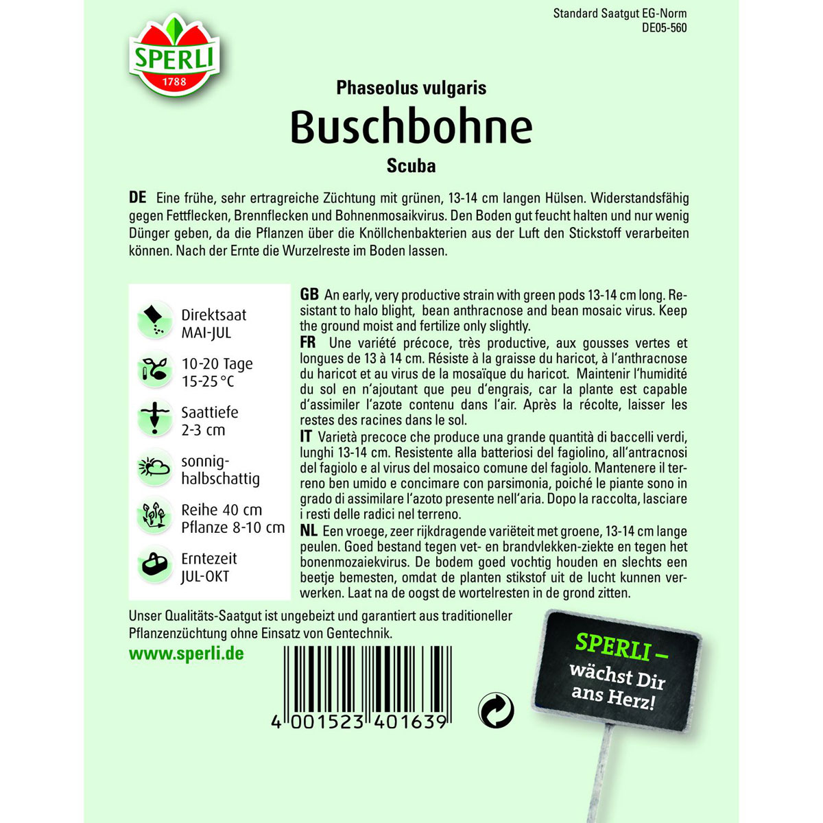 Buschbohne Scuba Bild 2