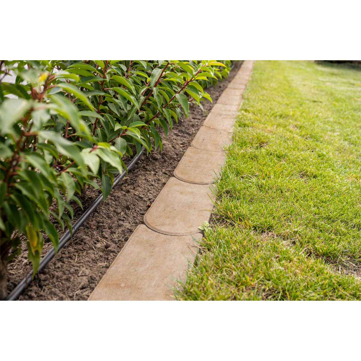 Rasenmähkante 24 x 12 x 4 Sandstein Bild 3