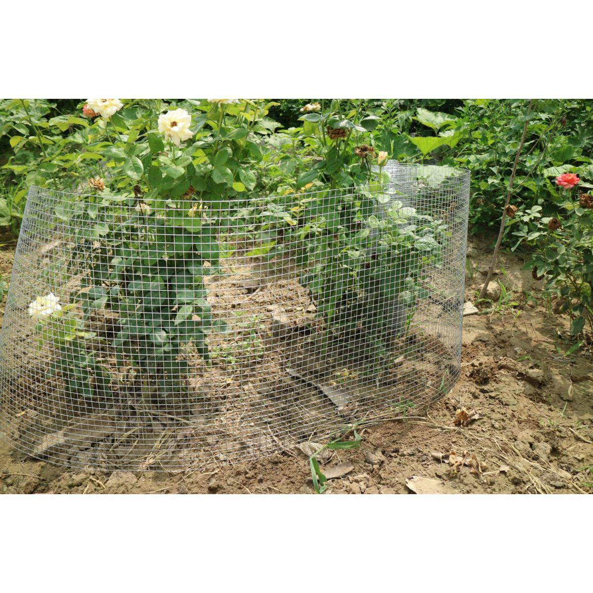 Durabil  Schweißgitter verzinkt Höhe 500 mm Länge 5 Meter Masche 12,7 x 12,7