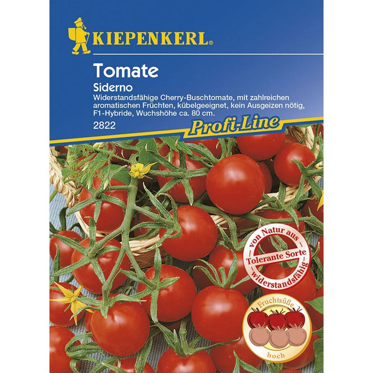 Kiepenkerl Cherry-Busch-Tomate Siderno F1 Profi-Line Bild 1