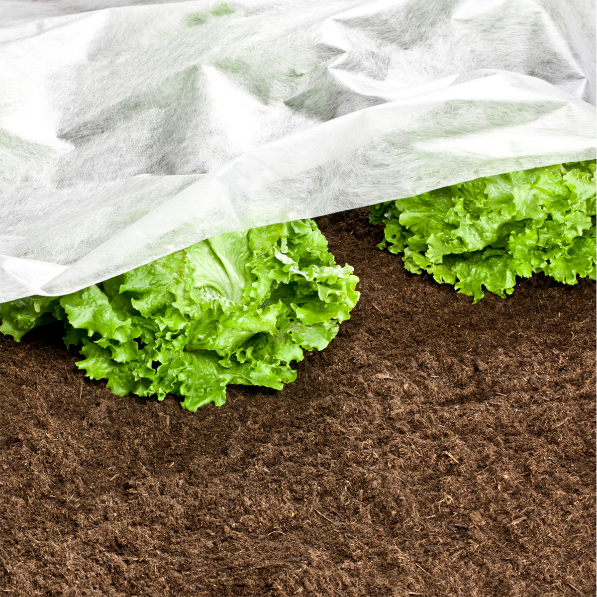 Windhager  Garten-Vlies 10x1,5 m weiß Bild 2