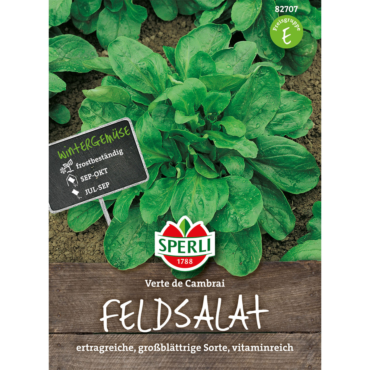 Sperli Feldsalat Verte de Cambrai Bild 1