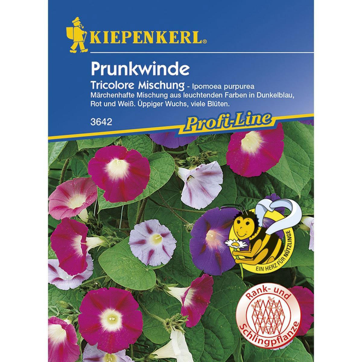 Kiepenkerl Prunkwinde Tricolore Mischung Profi-Line Bild 1