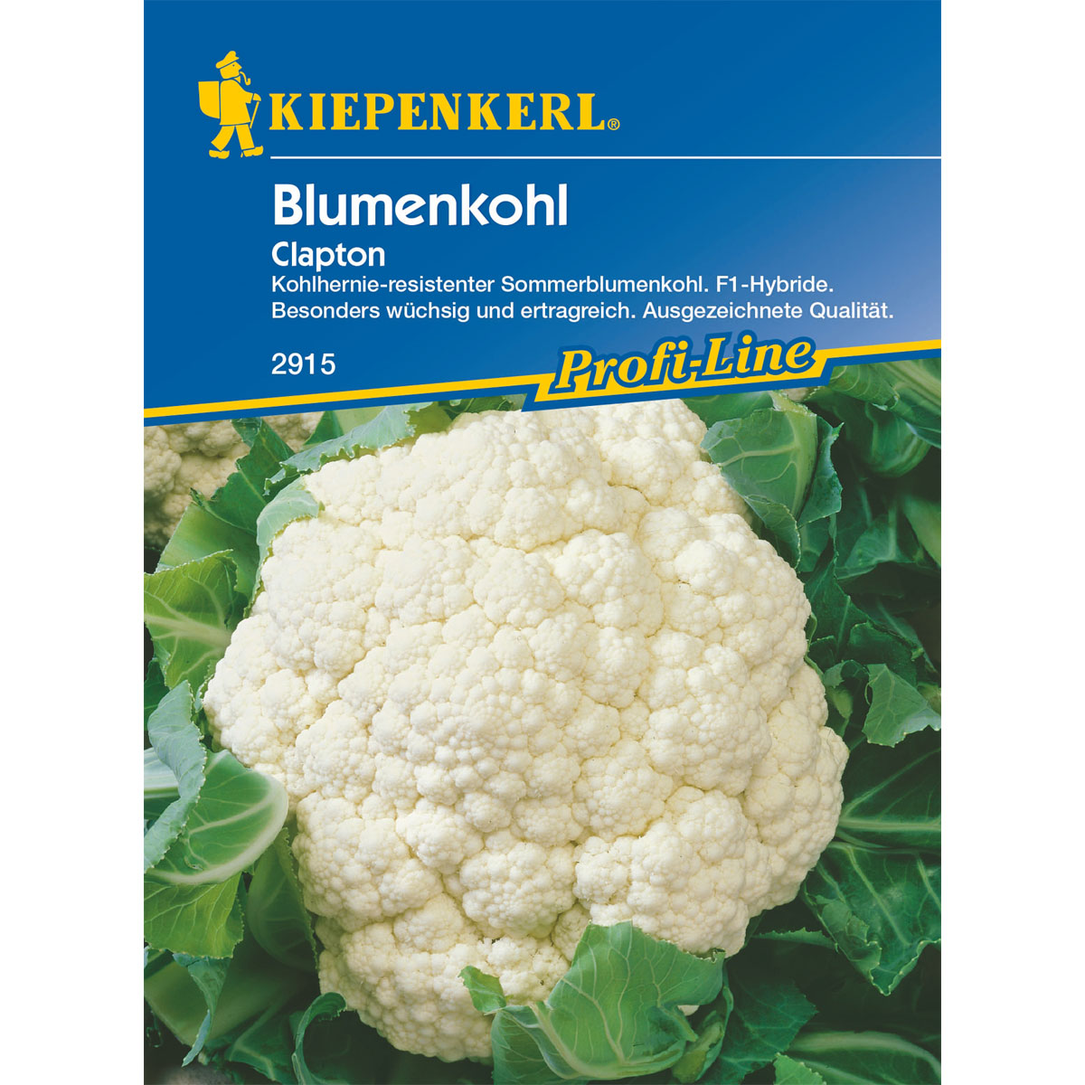 Kiepenkerl Blumenkohl Clapton Bild 1