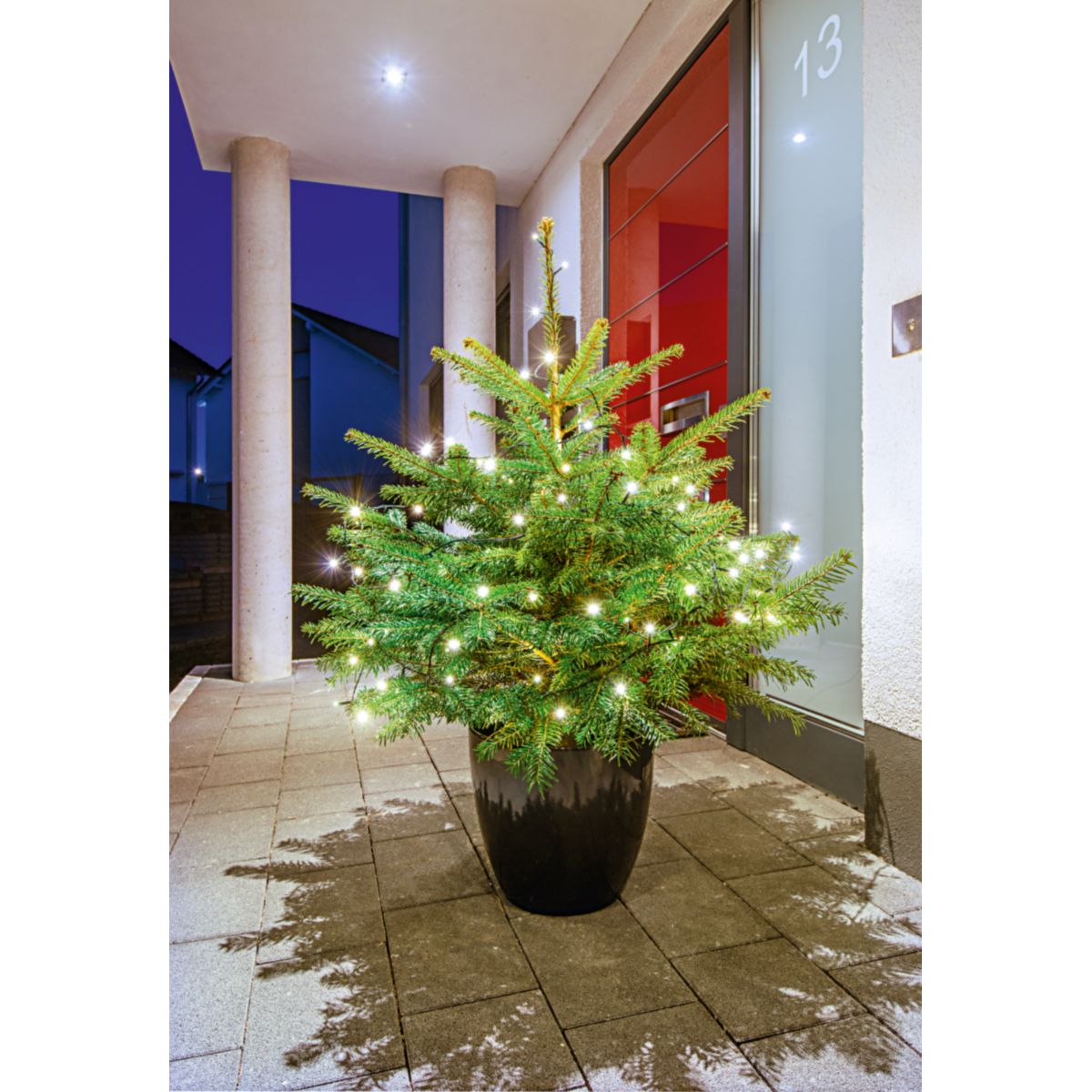 Plantiflor Nordmanntanne im Topf 150-175 cm Bild 2