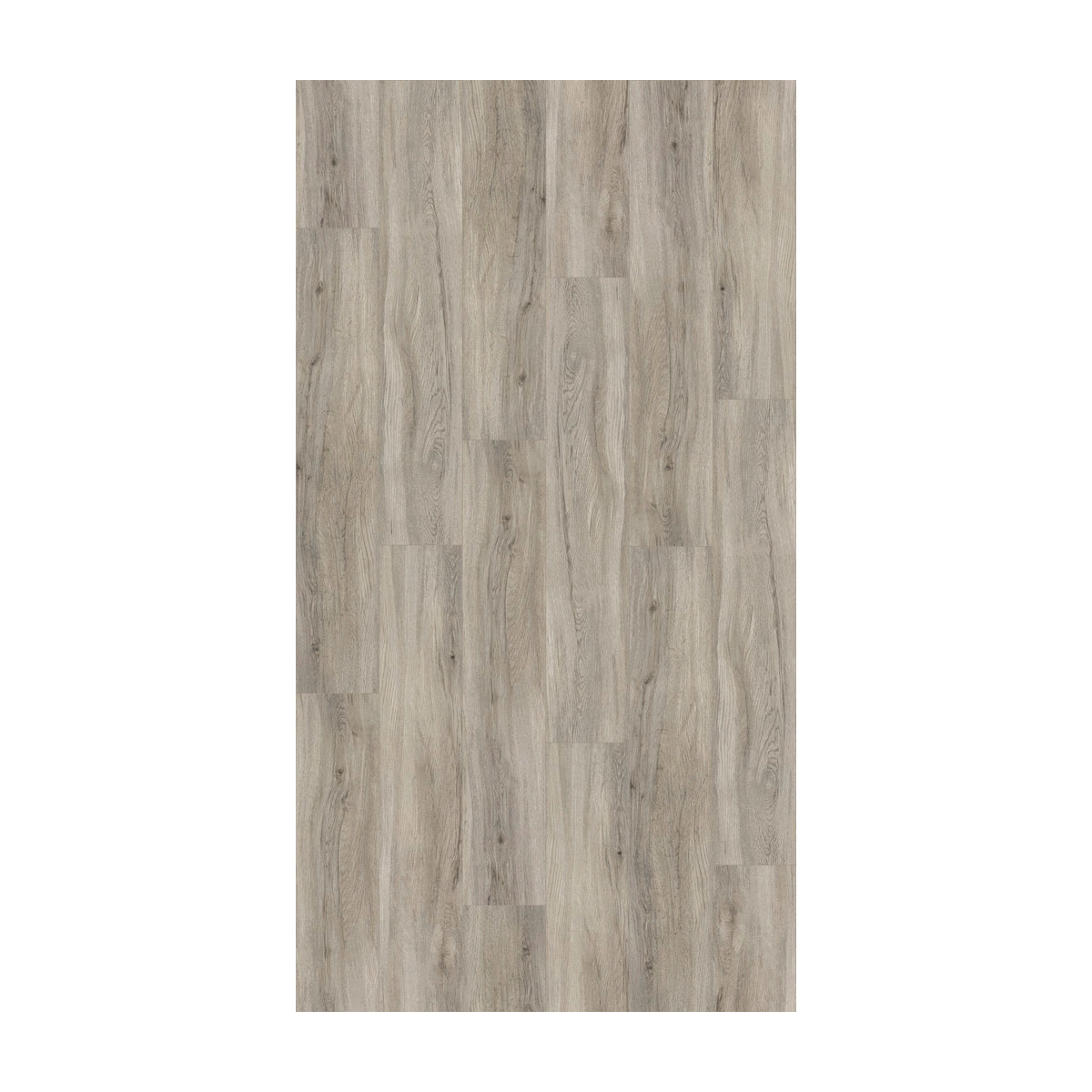 Parador Vinylboden Basic 5.3 Eiche pastellgrau gebürstete Struktur 22,5 x 120,9 cm Bild 2