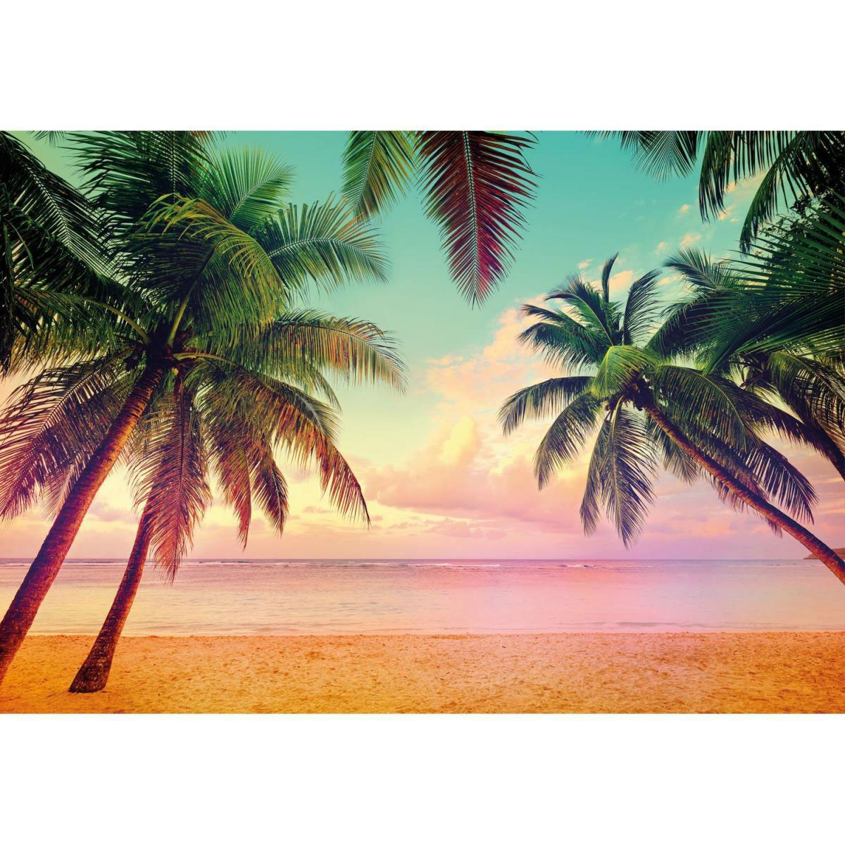 Komar Papier-Fototapete Miami 8-teilig 368 x 254 cm