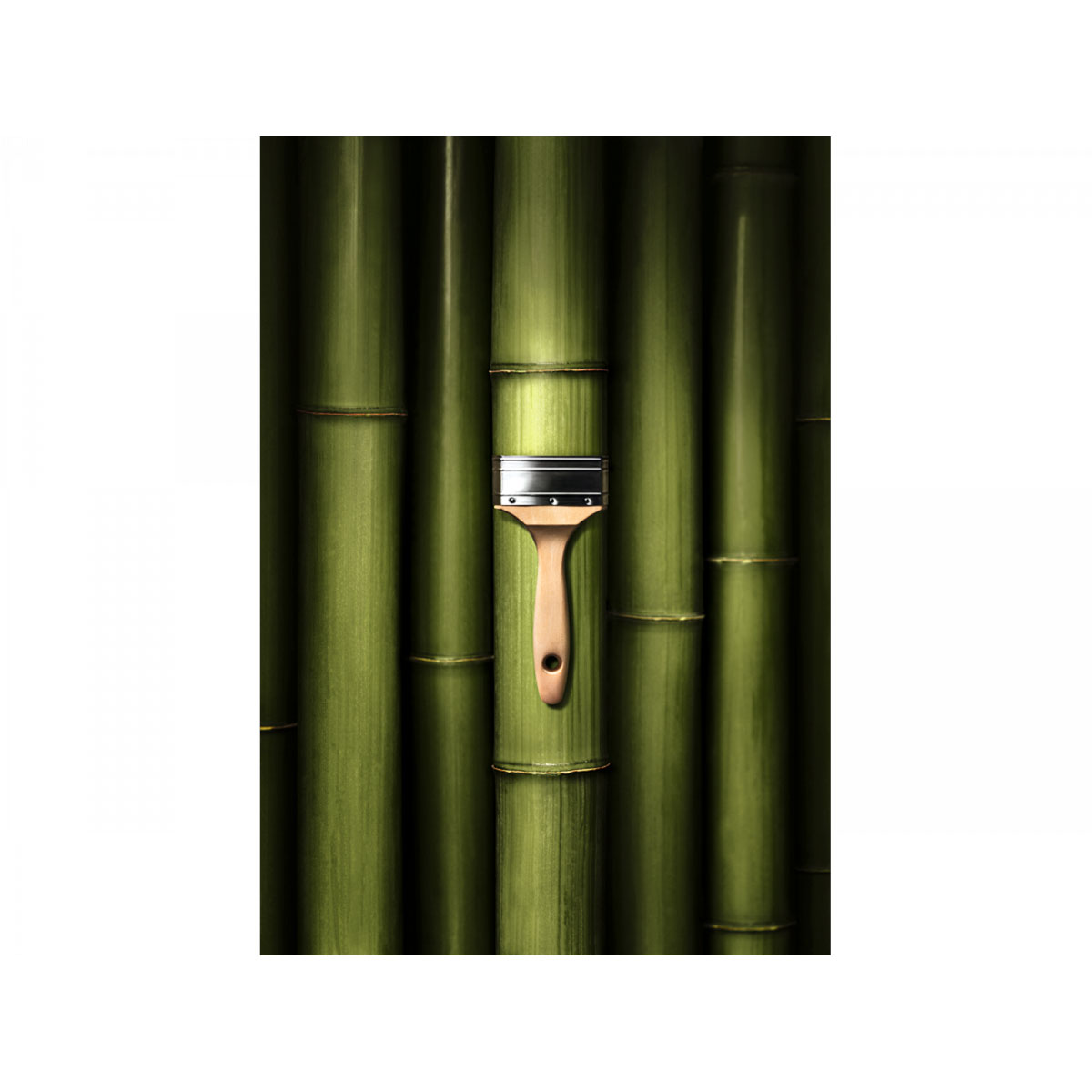 Schöner Wohnen Farbe Trendfarbe Bamboo Matt 2,5 L Bild 2