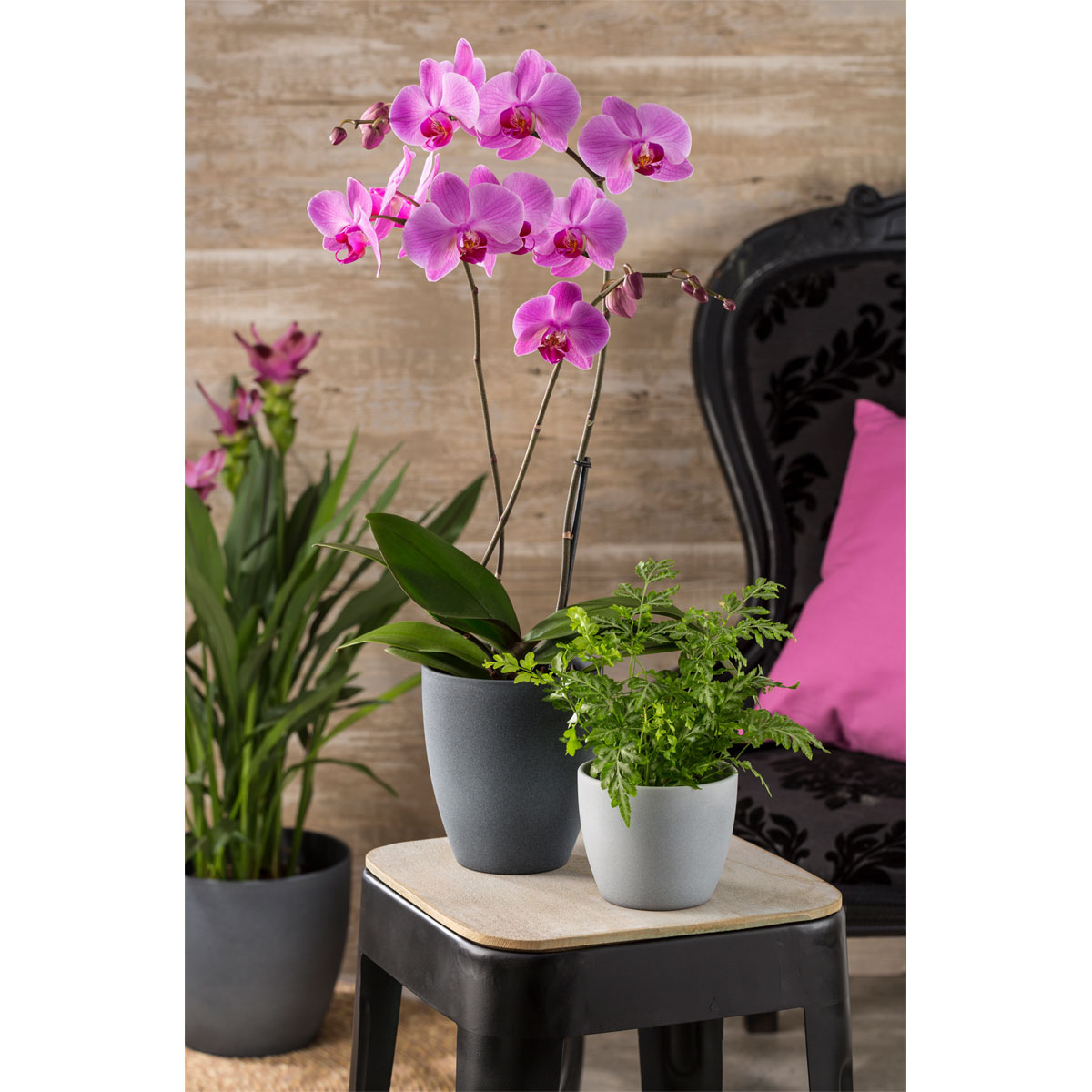 Scheurich Übertopf Grey Stone 33 cm Bild 2