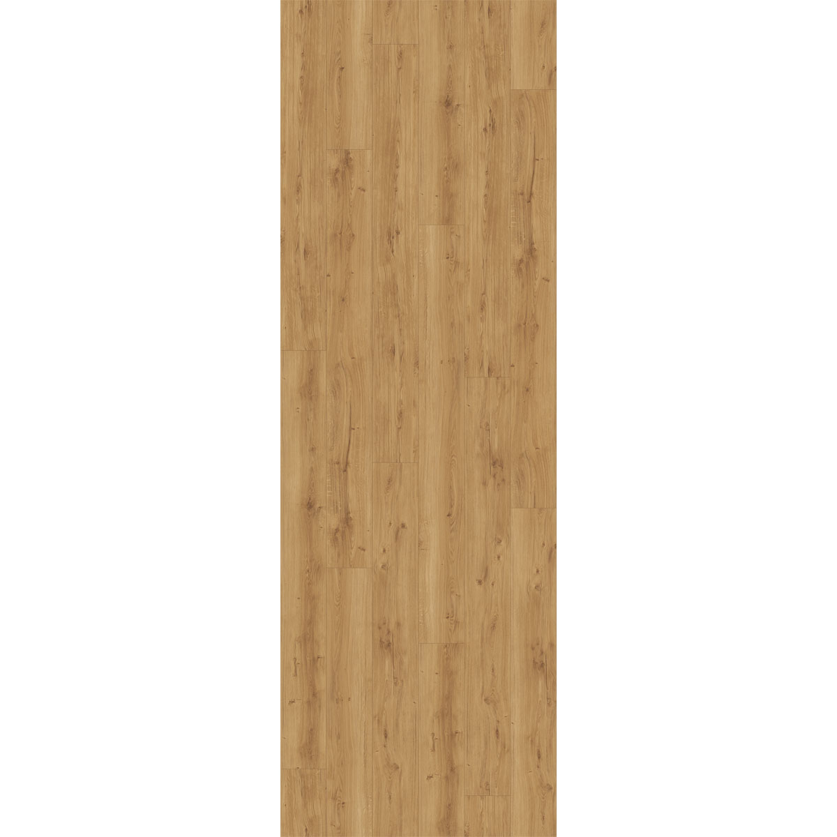 Parador Designboden Modular one Eiche Spirit Natur Holzstruktur 23,5 x 220 cm Bild 2