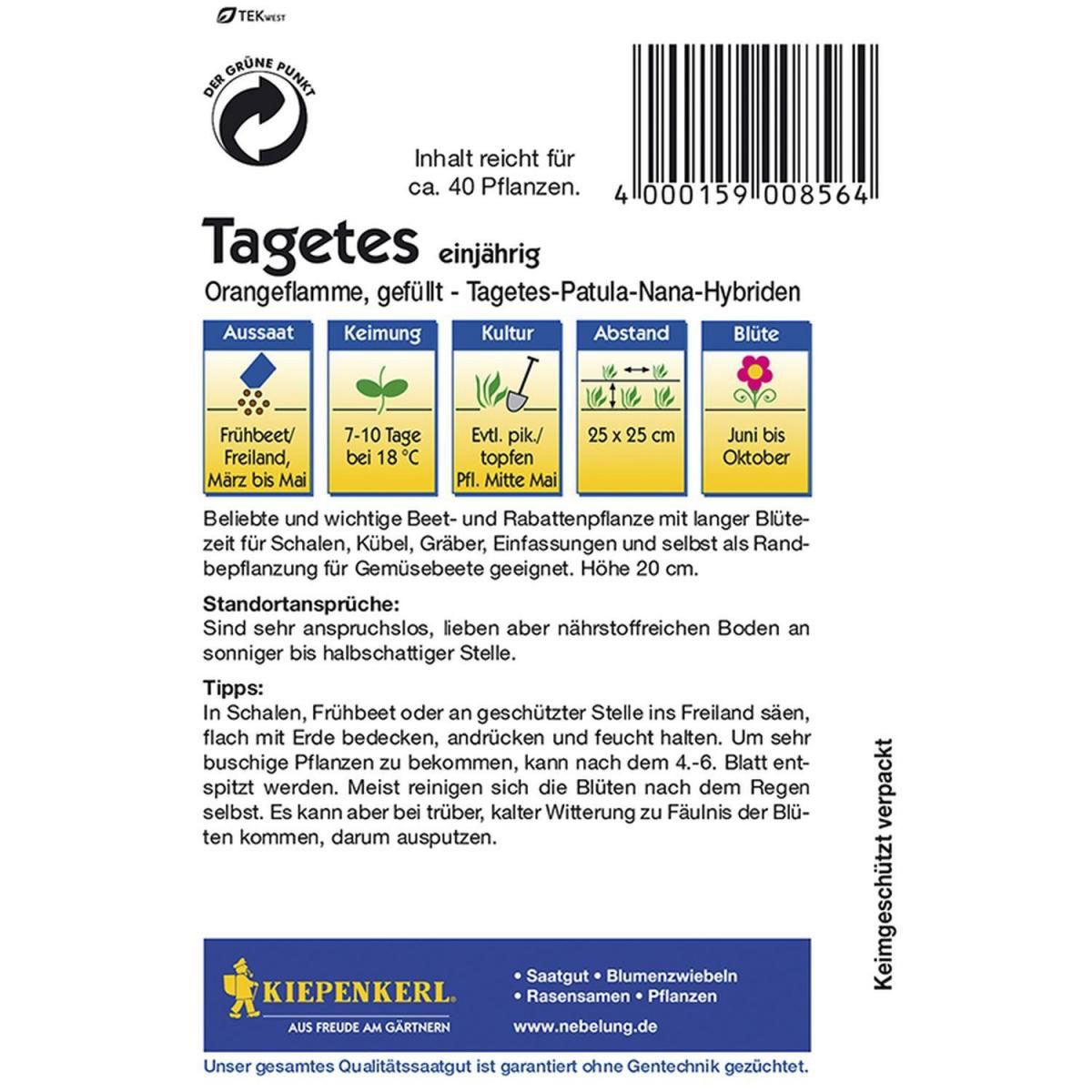 Kiepenkerl Tagetes Orangeflamme gefüllt Bild 2