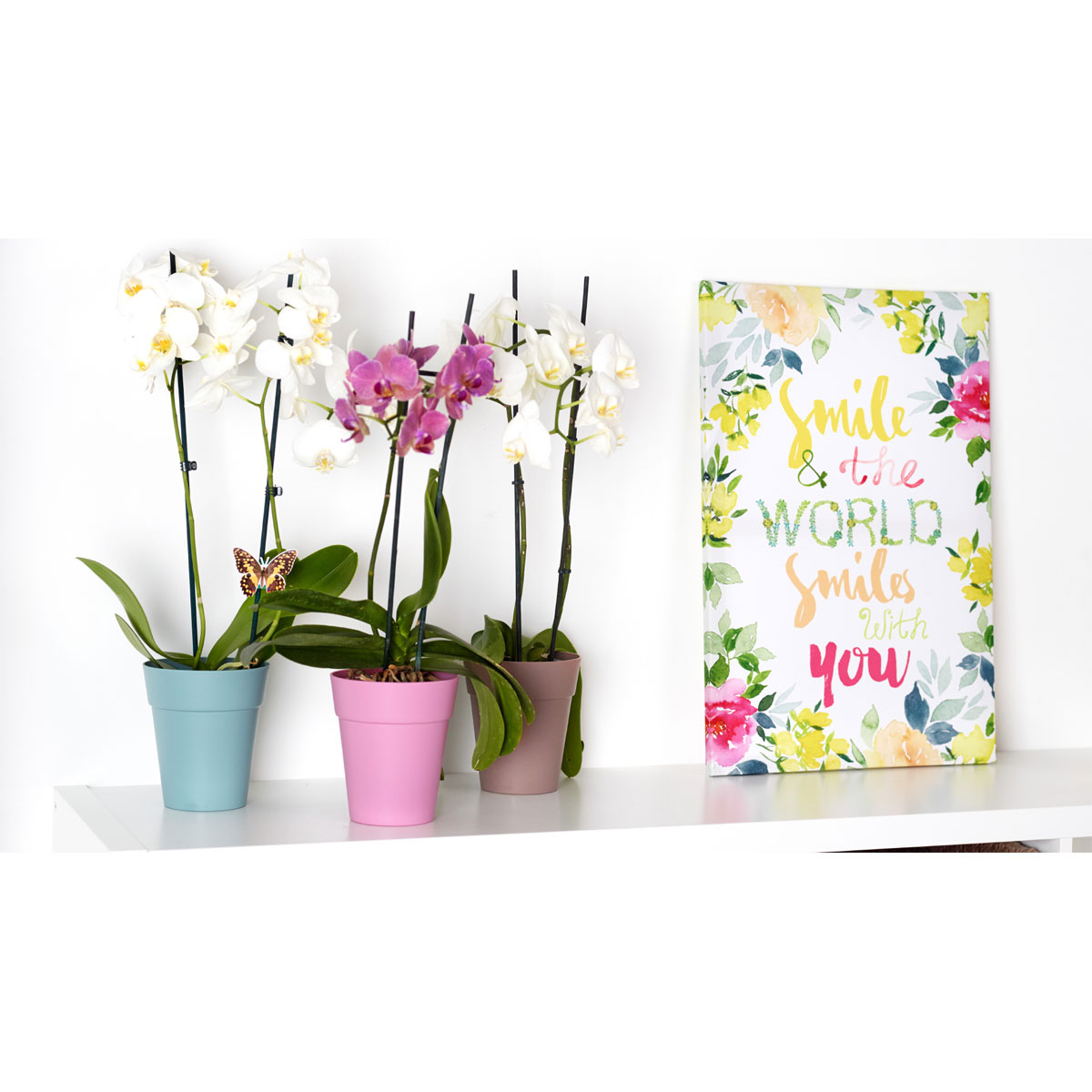 Orchideentopf Capri Orchid Pot 12,5 cm weiß Bild 3