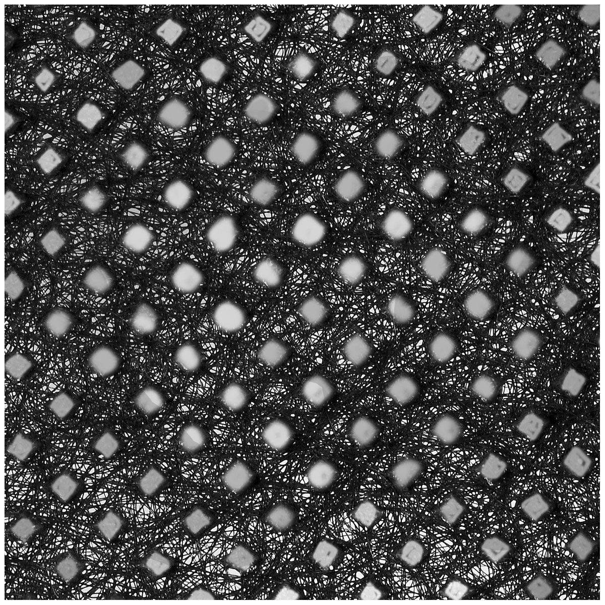 Windhager  Unkraut-Vlies 10x0,9 m Bild 4