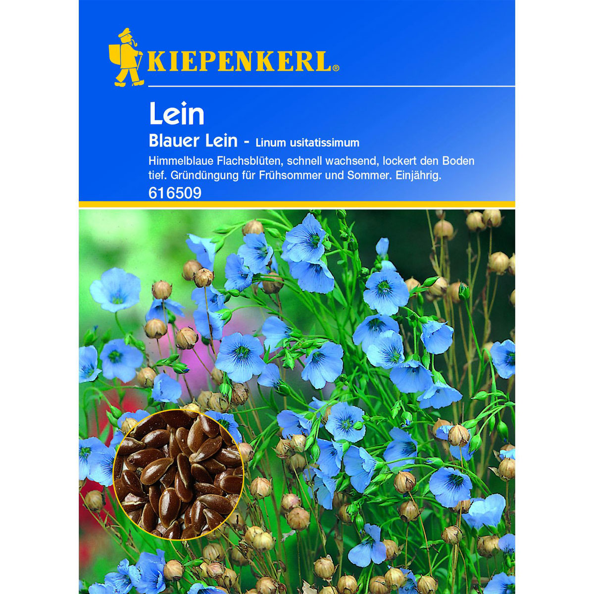 Kiepenkerl Gründünger Leinsaat Bild 1
