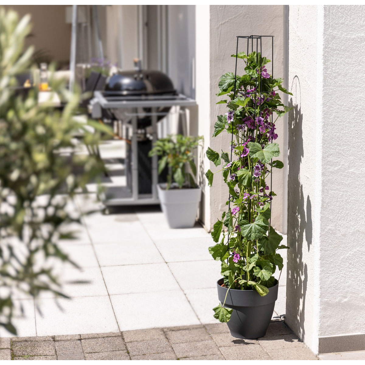 Windhager  Ranksäule 2-teilig 125 cm