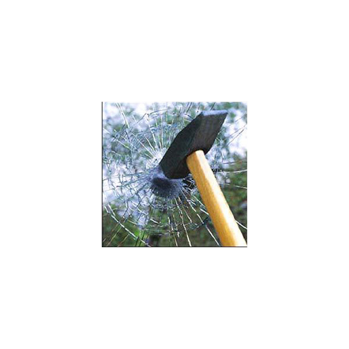 SplenDoor  Sicherheitseitenteil RC2 24x210 Nussbaum, Satiniert mit Klarglasstreifen Bild 3