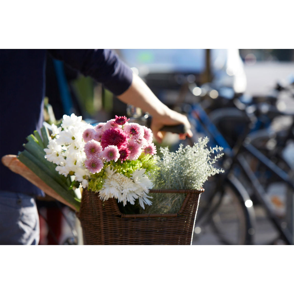 Fischer Bikes Gepäckträgerkorb Retro Bild 2