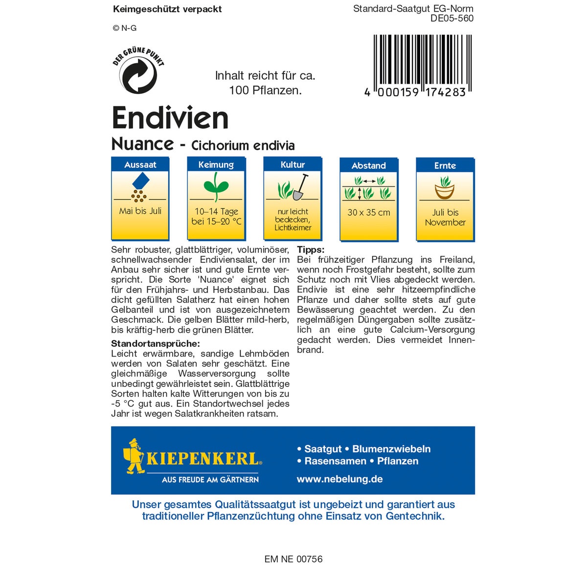Kiepenkerl Endiviensalat Nuance Bild 2