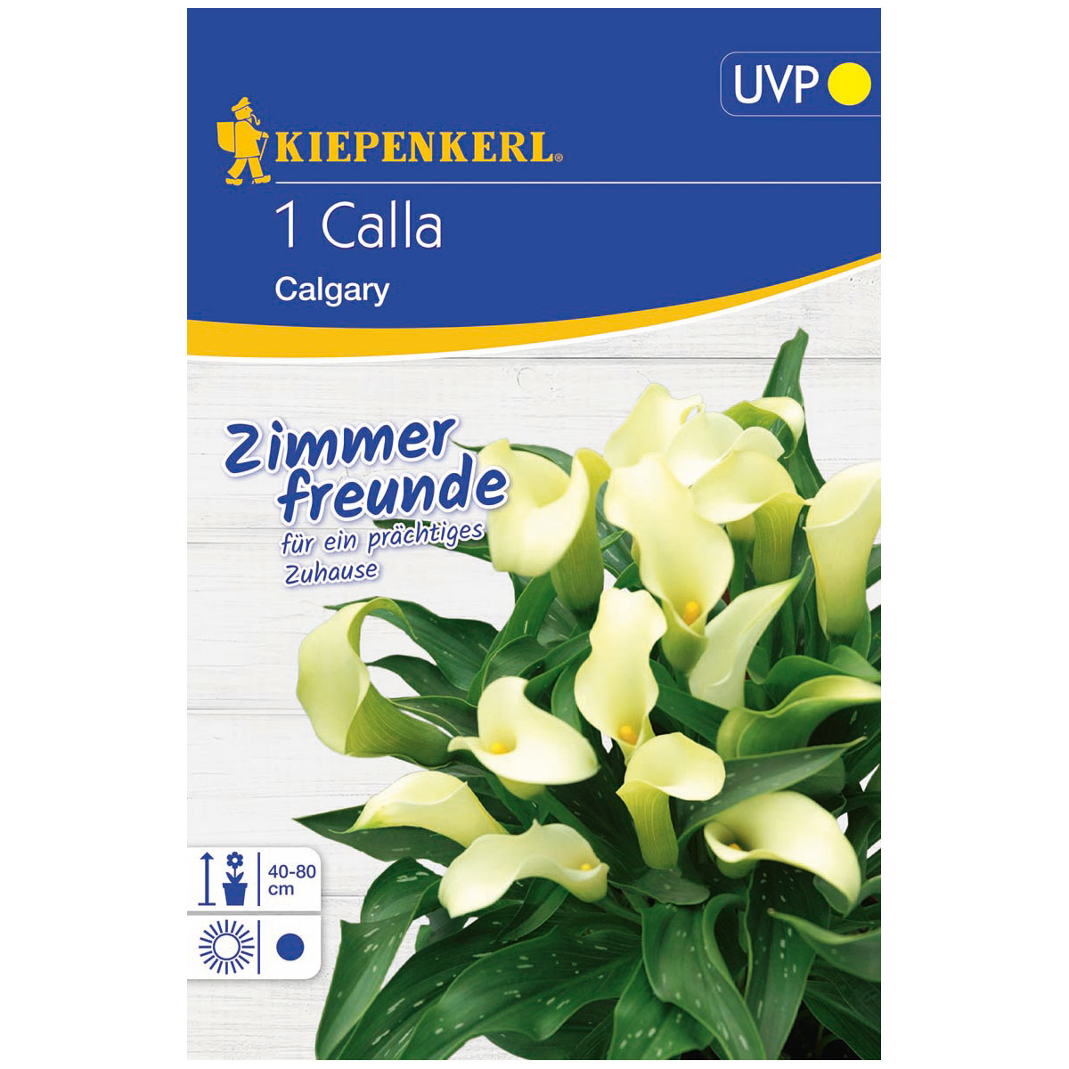 Kiepenkerl Calla Calgary Größe 14+ 1 Stück Bild 1