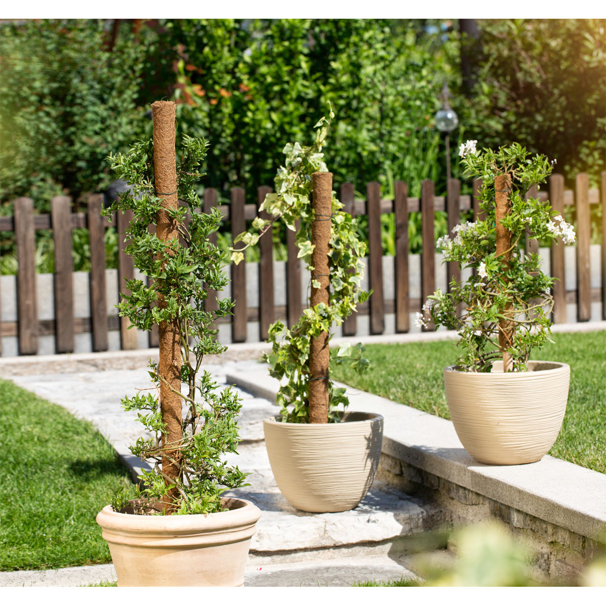 Windhager  Kokos-Pflanzstäbe 80 cm Bild 1