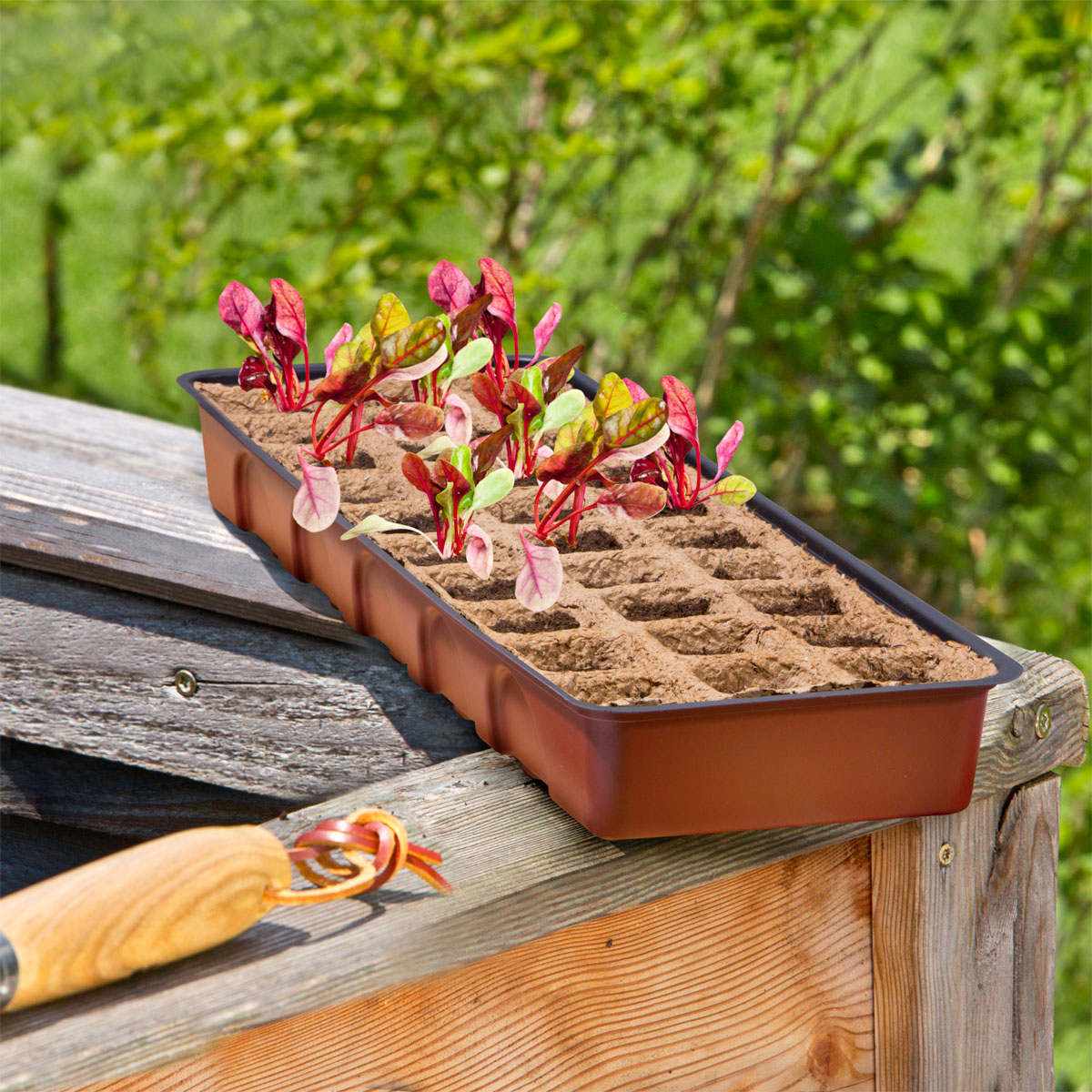 Windhager  Treibhaus-Fensterbank 30 Stück 54x16x11 cm