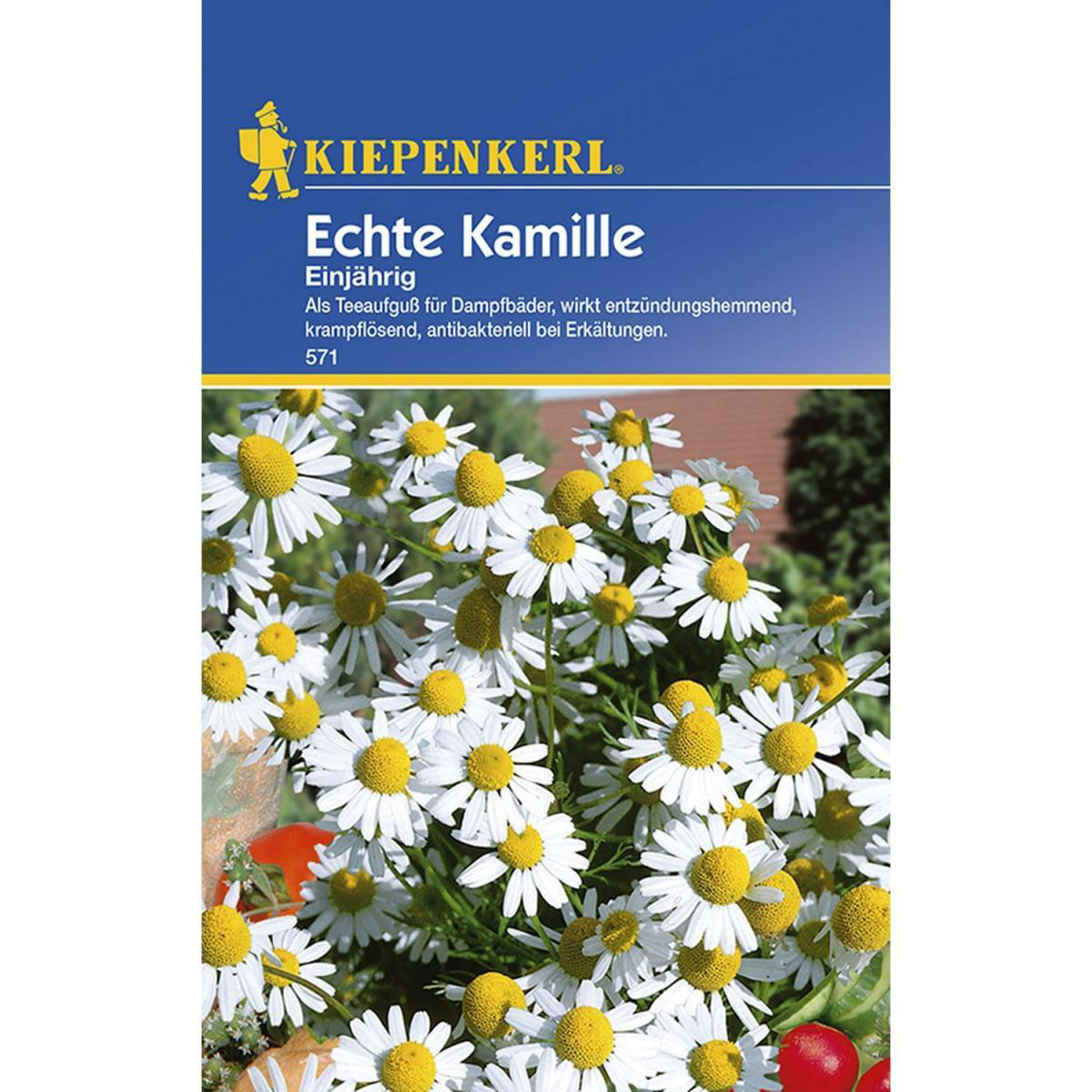 Kiepenkerl Echte Kamille einjährig