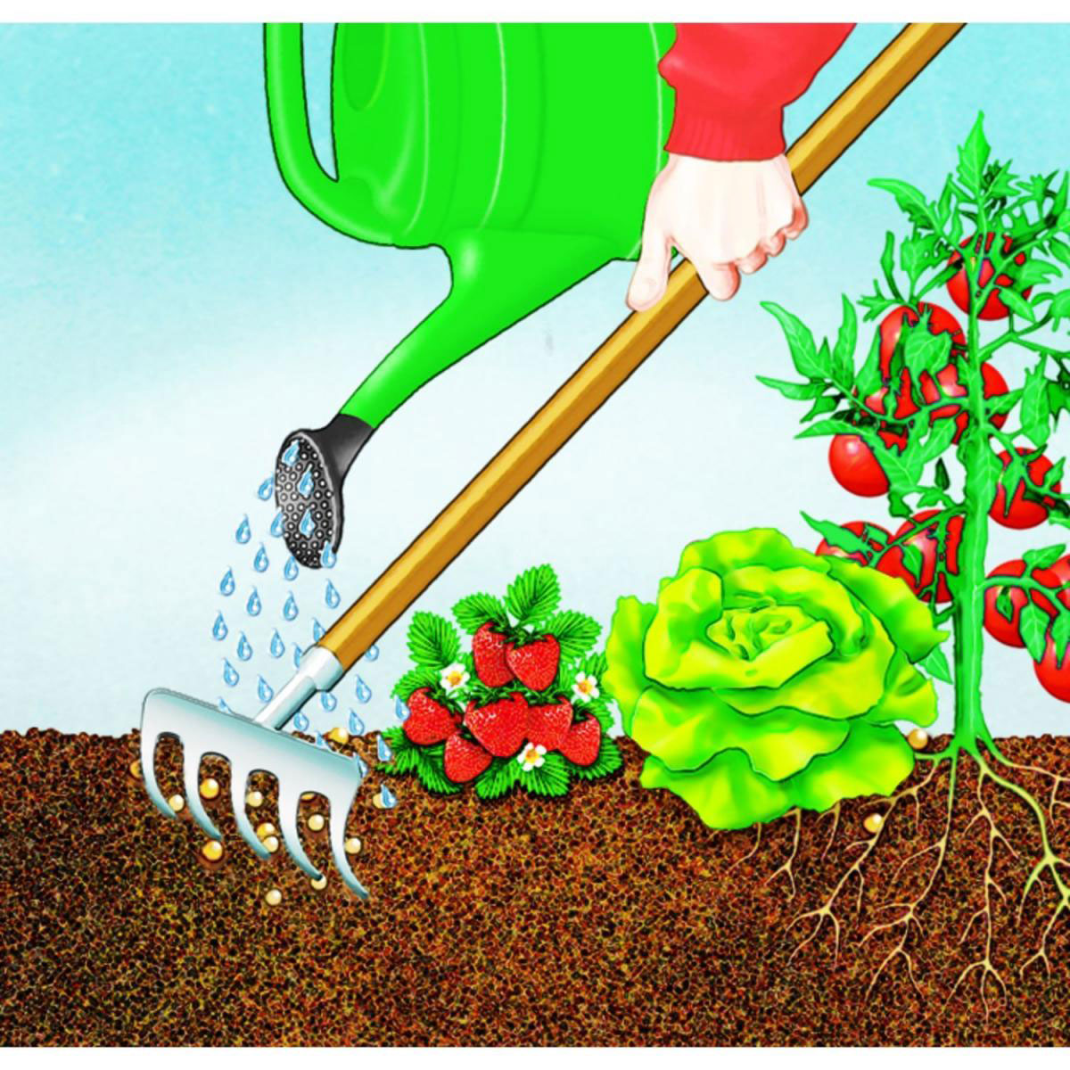 Compo BIO Hochbeet Langzeit-Dünger mit Schafwolle 750 g Bild 3