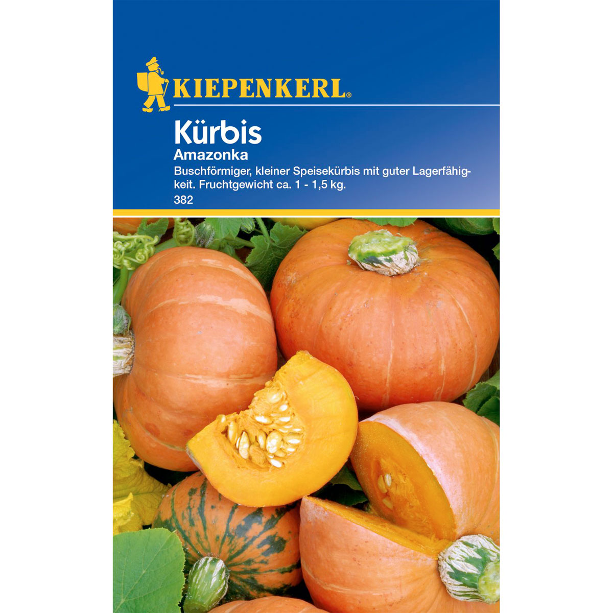 Kiepenkerl Kuerbis Amazonka Bild 1