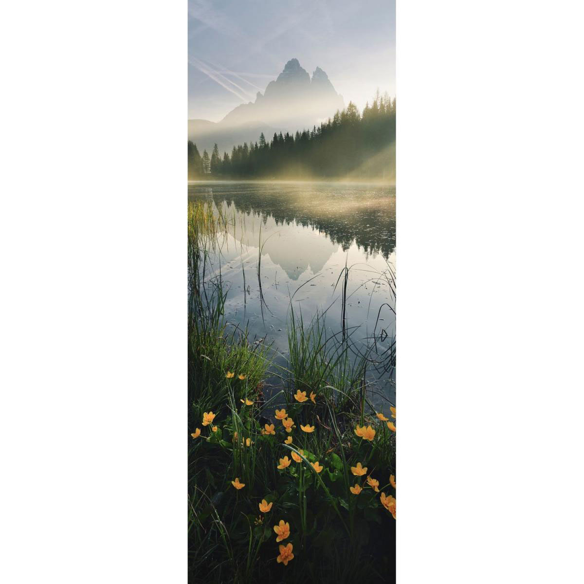 Komar Vlies-Fototapete Morning Mist 1-teilig 100 x 280 cm