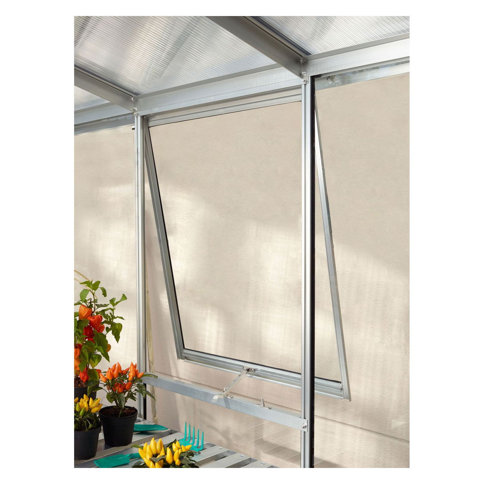 Vitavia Seitenfenster Z mit ESG 3 mm alu