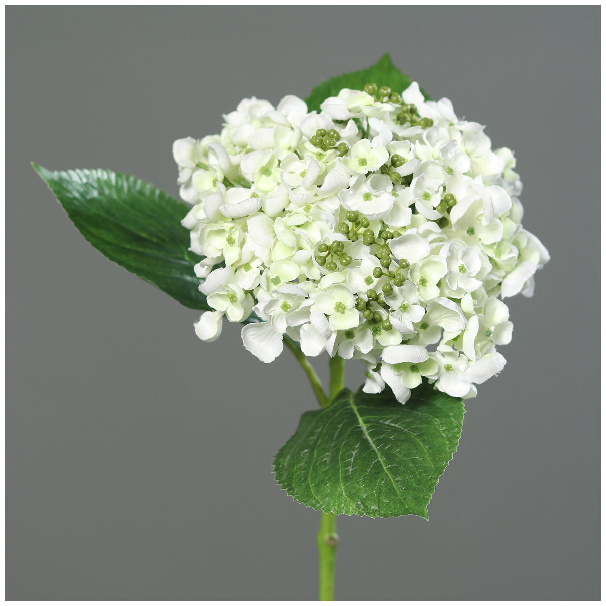 Hortensie mit Mini-Blüten 44 cm cream