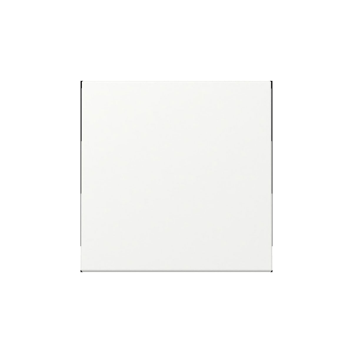 Gira  Wippe System 55 Reinweiß m